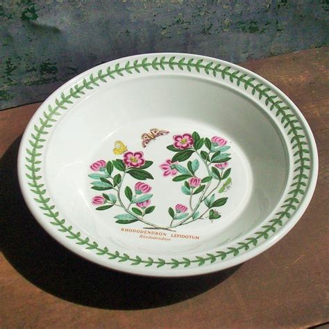 Vintage Portmeirion Botanic Garden China Soup Bowl Great