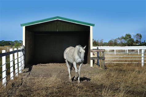 How Big Should A Horse Shelter Be