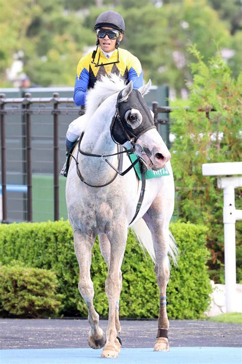 【函館記念】白毛ハヤヤッコ5着で連覇ならず 浜中俊騎手「勝ち馬以外との差はなかった」 Umatoku 馬トク