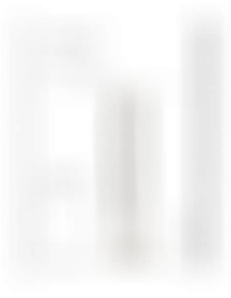 Realiste Dildo Jelly Suction Cup 20 Cm Transparent RealRock G