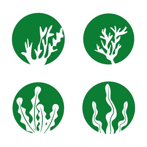 Seaweed Logo And Vector Template 13358589 Vector Art At Vecteezy