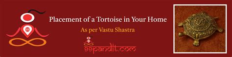 Placement Of A Tortoise In Your Home As Per Vastu Shastra 99pandit