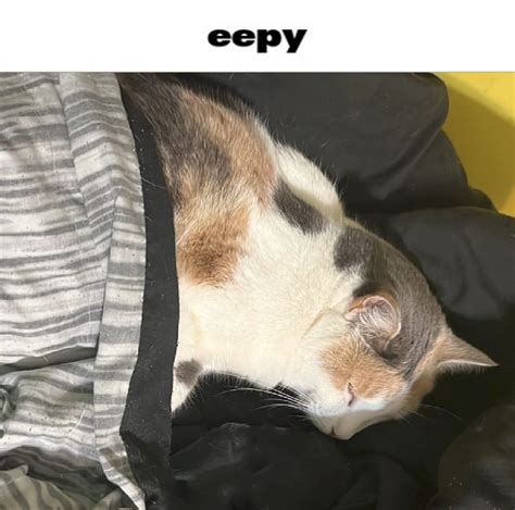 Eepy Eepy Know Your Meme