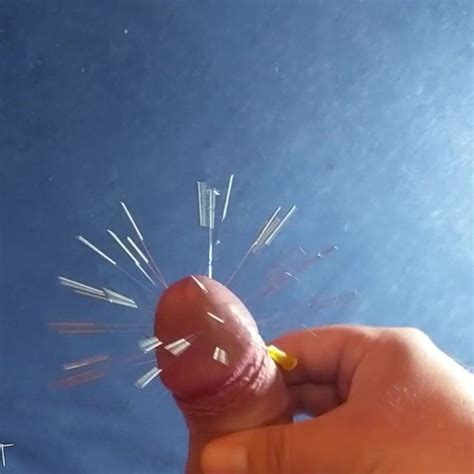 Cock Skewering CBT With Needles Cumshot Gay Porn Bf XHamster