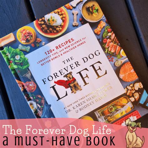 The Forever Dog Life: Your Ultimate Pet Lifestyle Guide