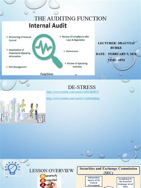 Unit 3 Auditing Function Pdf