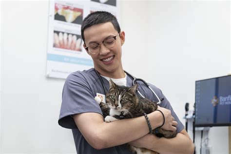 animal hospital banfield 4