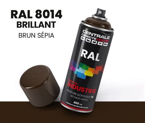 Bombe de peinture teinte RAL 8014 Brun sépia Brillant