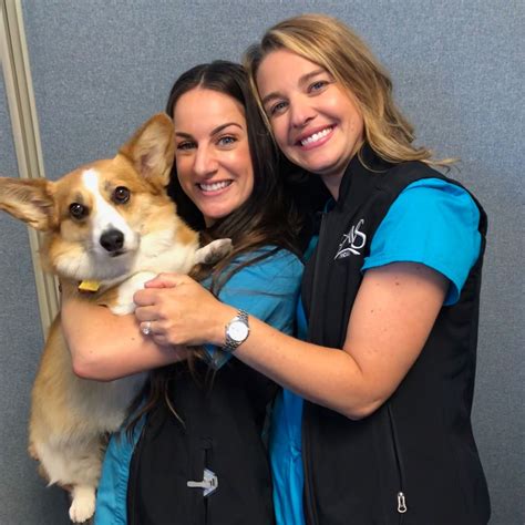 VCA Bay Area Veterinary Specialists & Emergency Hospital - Home | Facebook