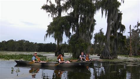 Swamp Tour- 8/8/18 - Pack and Paddle