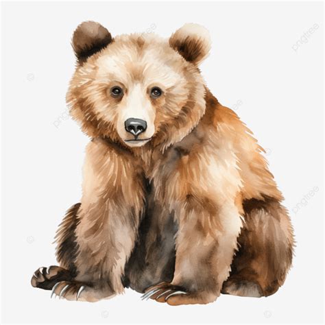 Watercolor Bear Clip Art Teddy Brown Watercolor Png Transparent