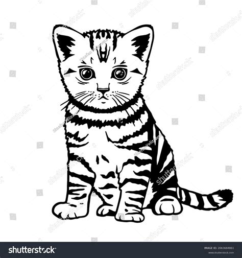 Small Tabby Kitten Vector Illustration Cat Stock Vector (Royalty Free