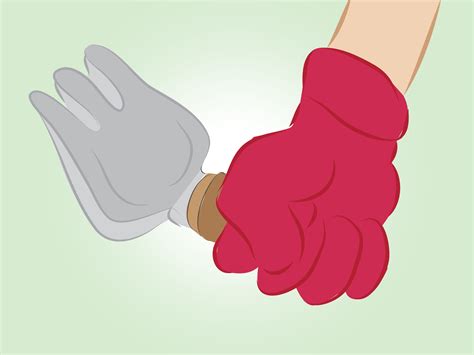 Come Scegliere le Piante per il Giardino (con Immagini)