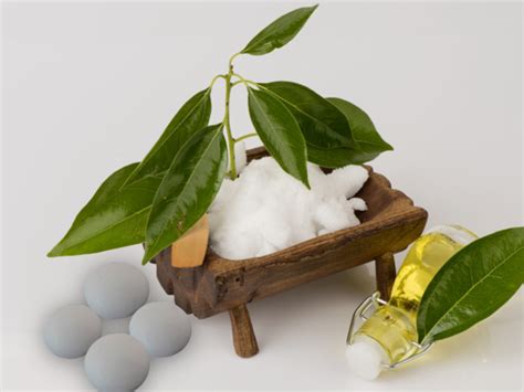 Top 6 Benefits Of Camphor Organic Facts