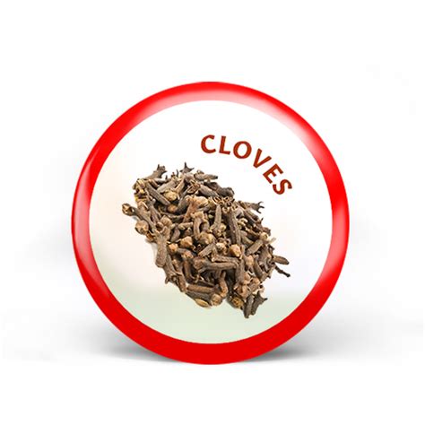Cloves Badge Curiosity Untamed Store