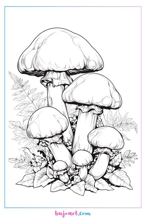 Aesthetic Mushroom Coloring Pages BUJO ART