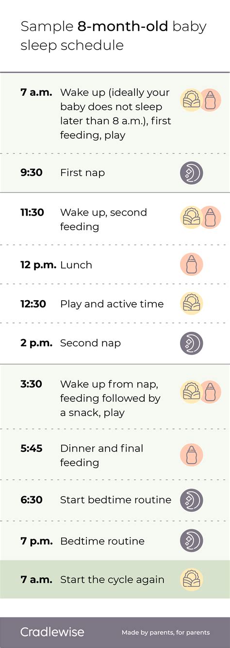 Sample 8-Month-Old Sleep Schedule (Naps, Feeds, Solids), 49% OFF
