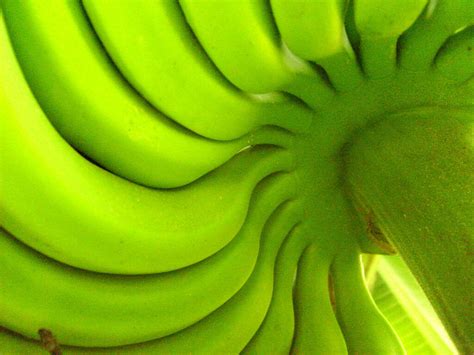 Constipation 10 Foods That Cause Constipation