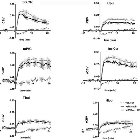 Brain Receptor Occupancy Of Gsk Theoretical Brain Receptor