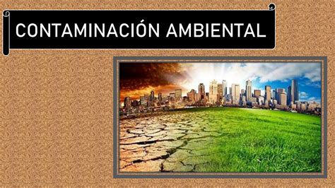 SOLUTION Tema 9 1 Contaminacion Ambiental Studypool