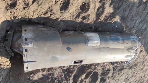 Pamela Anderson De Sex Symbol A Lady Infobae