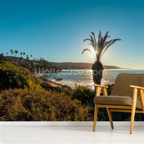 Laguna Beach Palm Tree Wall Mural Wallsauce Us