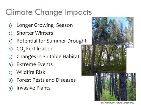 9 Ways that Climate Change Will Affect Forests | PDF