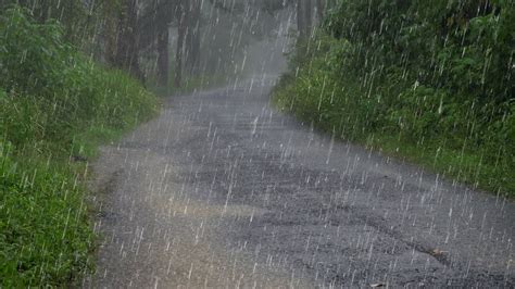 Heavy Rain Thunder For Sleeping Beat Insomnia To Sleep Instantly