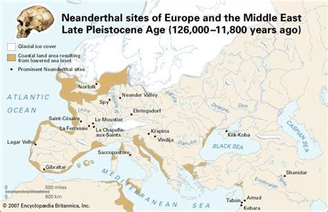 Neanderthal Characteristics DNA Facts Britannica