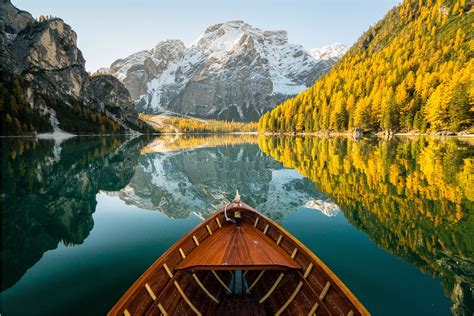 Everything About NMN