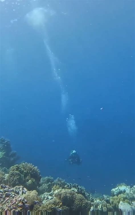 Underwater Earthquakes 2012 Indian Ocean Earthquakes Wikipedia