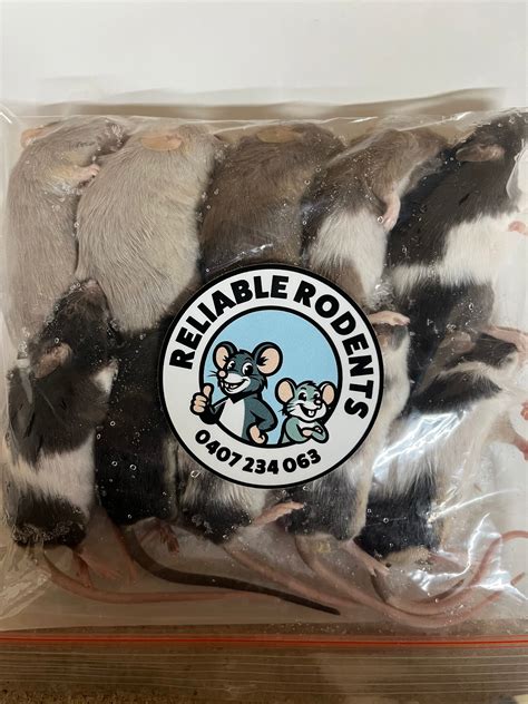 large rodents in tennessee 3
