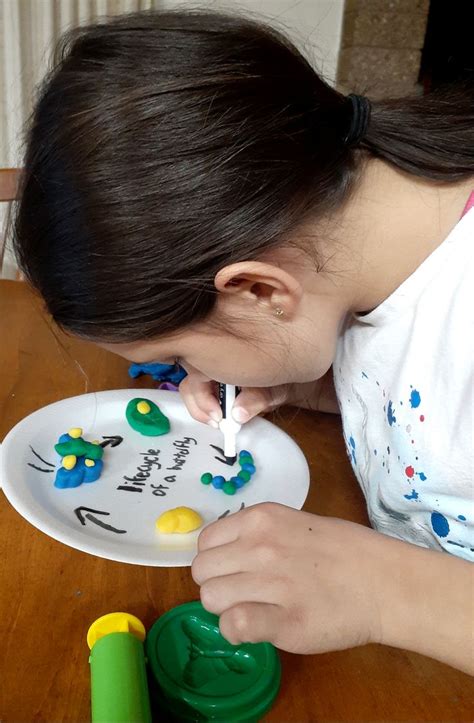 Pin on Creative Curriculum for Preschool | Creative curriculum, Creative, Preschool