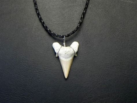 Black Braided OTODUS Shark Tooth Necklace – JTS Sharks Teeth