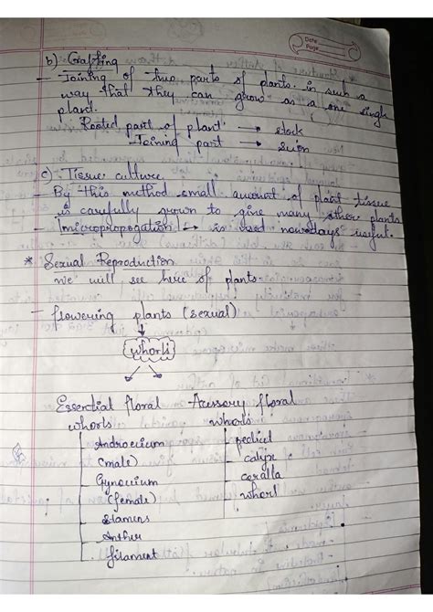 Solution Reproduction In Plants Studypool