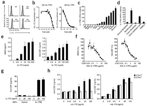 il  regulates  innate immune function  epithelial cells