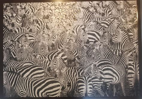 Zebra Challenge, Ravensburger, 1000. Hardest puzzle I've ever done. : r