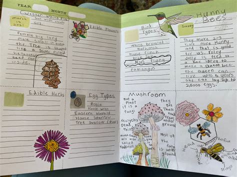 Nature Journaling For The Wild Drawing And Writing Responses To Nature