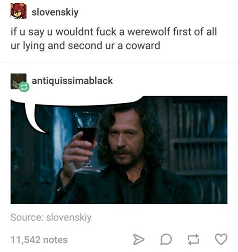 Wolfstar Harry Potter Puns Gay Harry Potter Harry Potter Headcannons