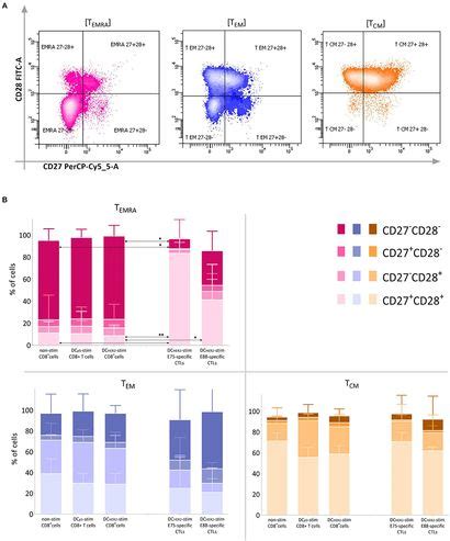 Frontiers Cytotoxic Activity And Memory T Cell Subset Distribution Of