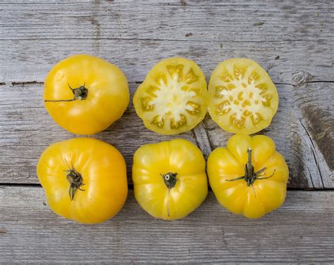 Tiger Paw Prairie Garden Seeds