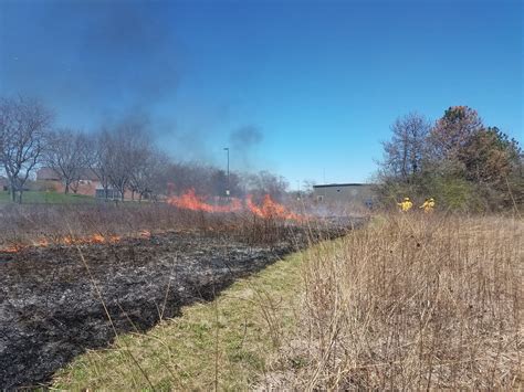 Burning Grass Part Of Teaching Environmental Biology Prospectus News