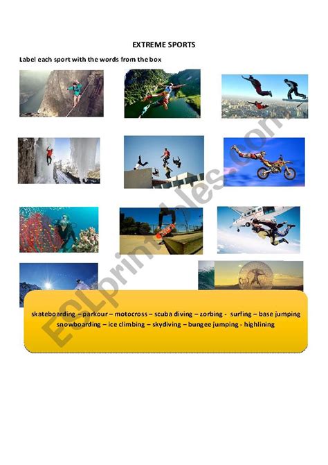 Extreme Sports Esl Worksheet By Oviedomariamanuel