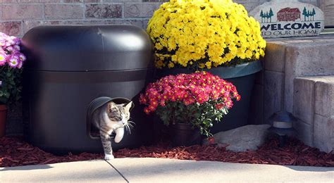 Mejores Casas Para Gatos De 2025 Análisis ﾉ