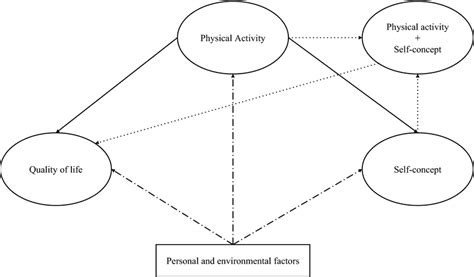 The Hypothesized Model Between Accelerometer Measured Physical Activity