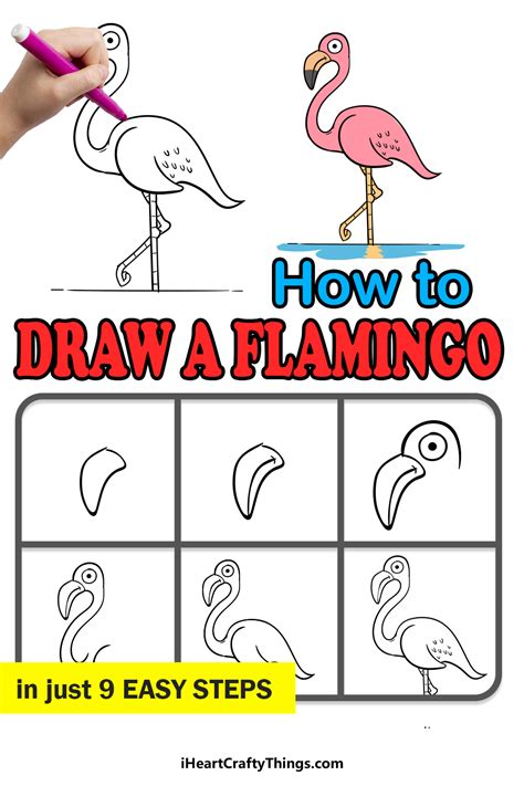 Flamingo Drawing How To Draw A Flamingo Step By Step