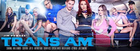 GenderX Becomes GenderXFilms Best Trans Porn Online