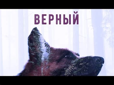 "ВЕРНЫЙ" трейлер фильма - YouTube