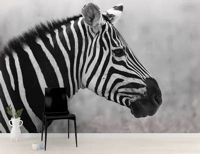 Картинка Зебра - 79 фото