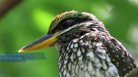 Объектив Tamron SP AF 150-600mm f/5-6.3 Di VC USD G2 Canon - купить по ...